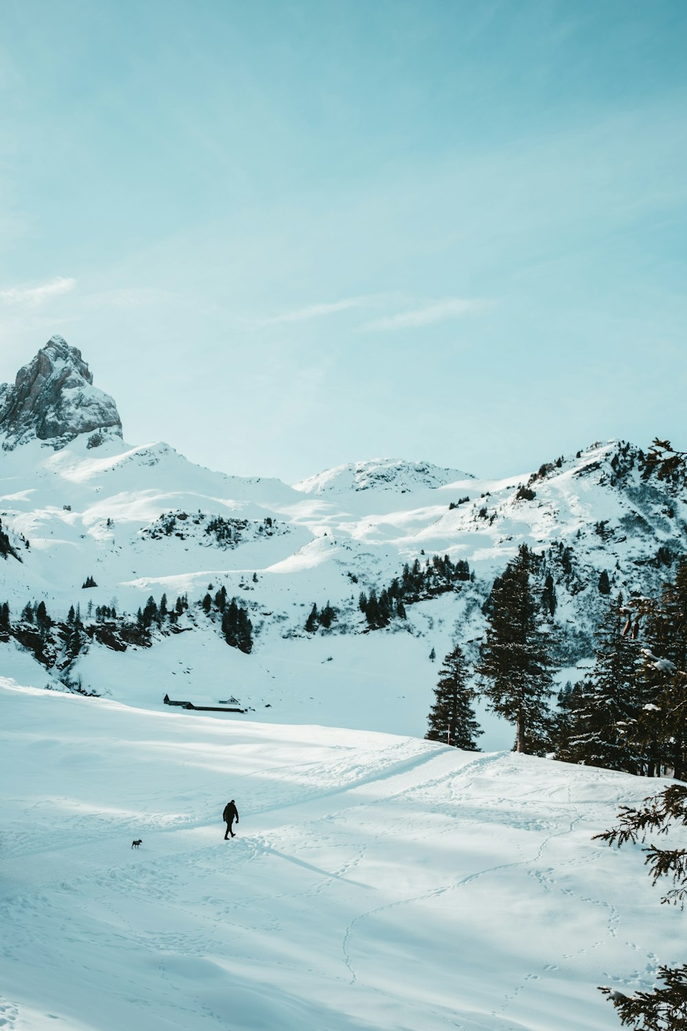 person walking on snow covered mountain during daytime