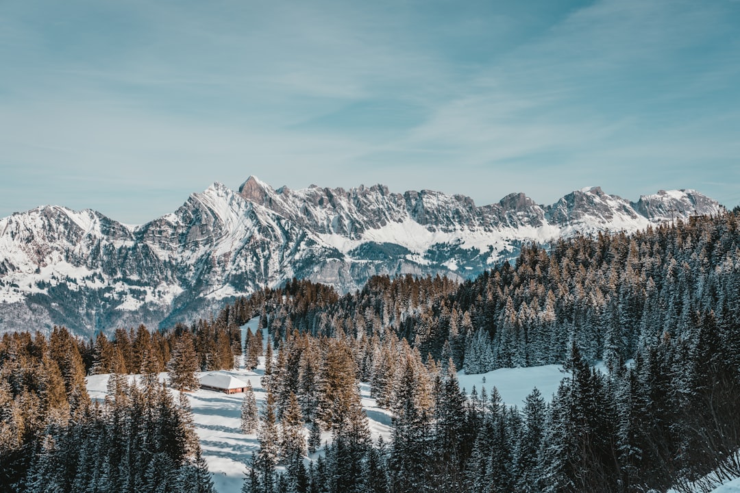 snow covered mountain during daytime