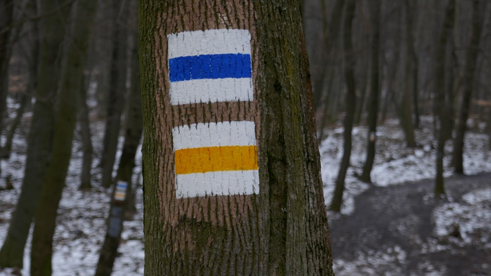 brown tree trunk with blue and white striped on top