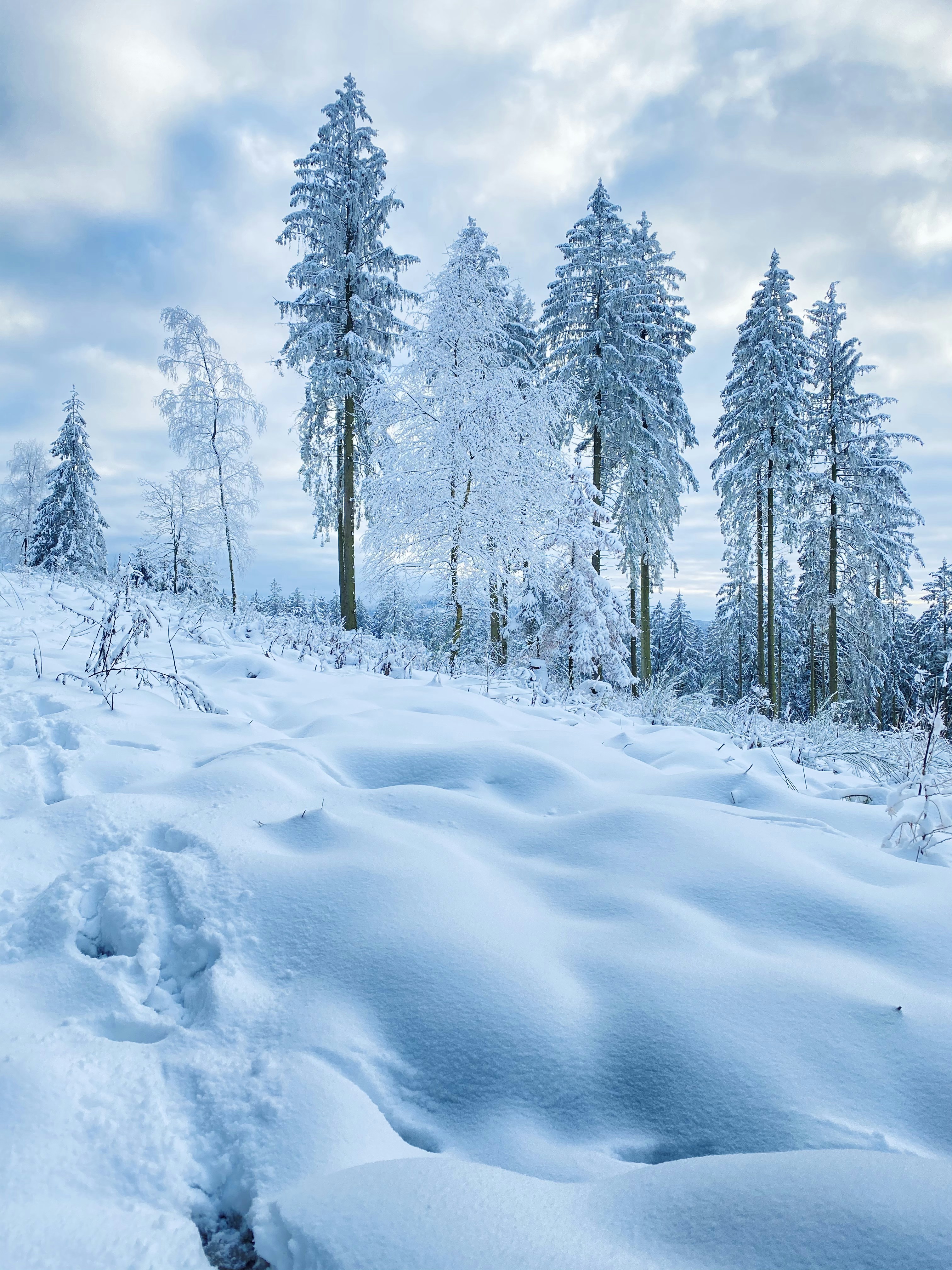 Photo by lars_eberhardt