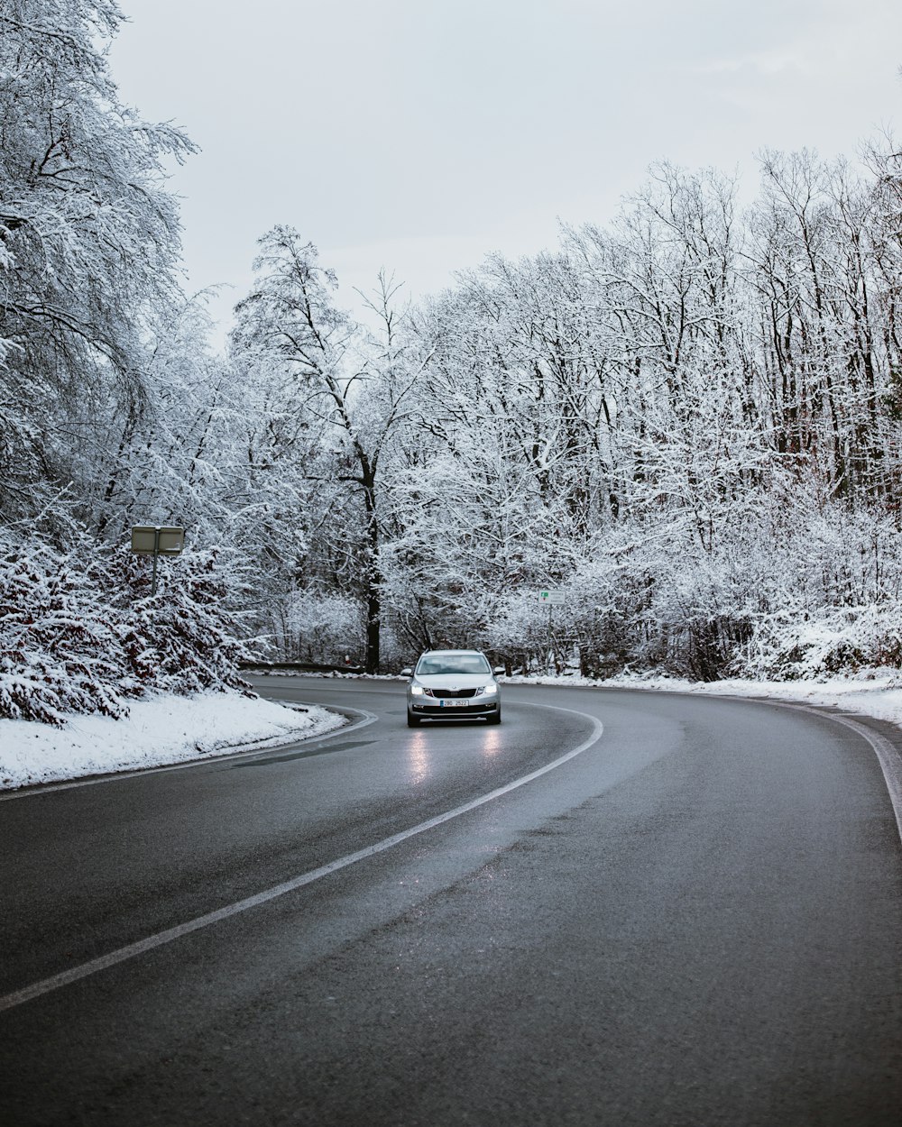 white car on road between trees covered with snow during daytime