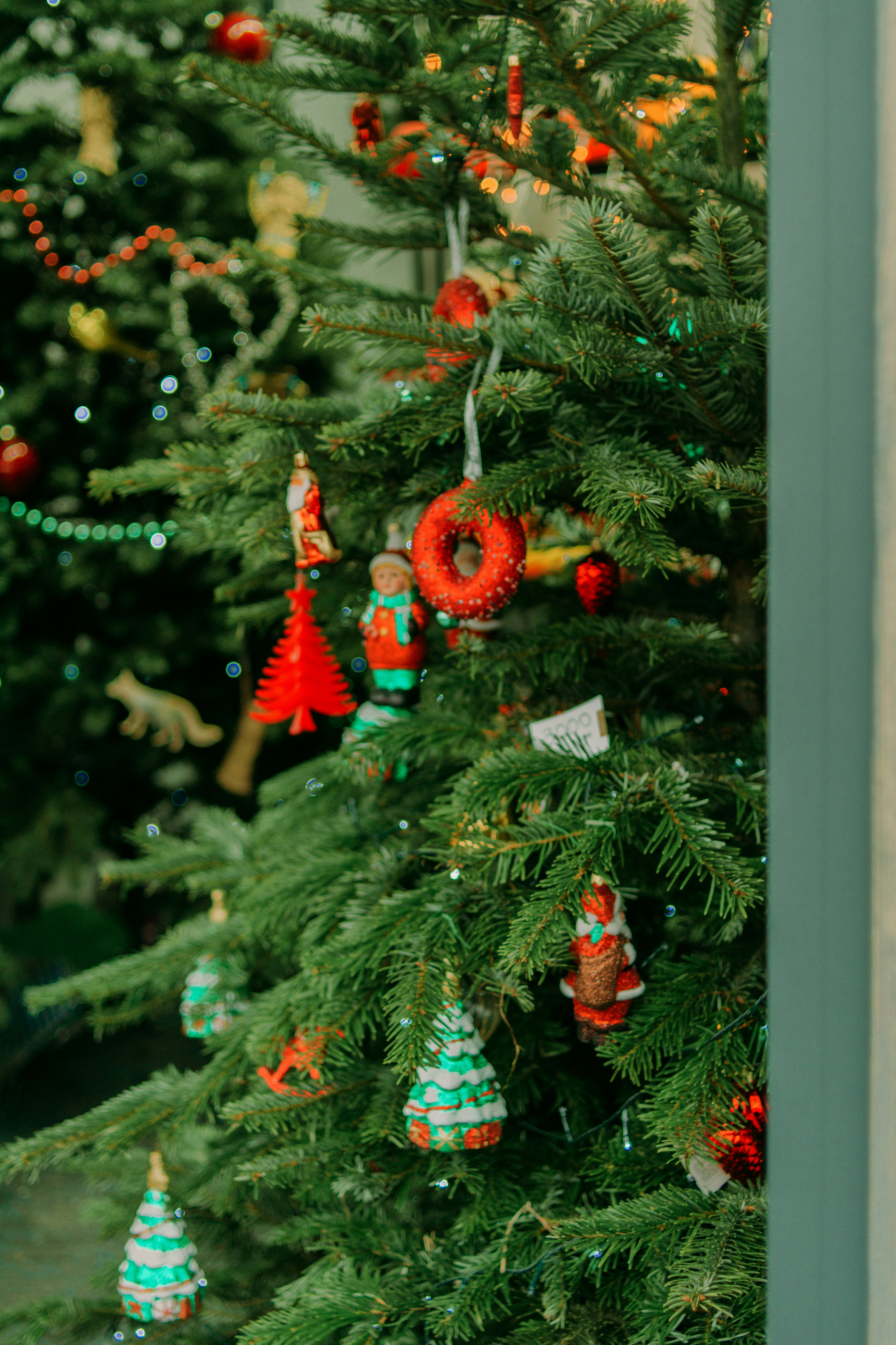 Photo by eugenivy_now