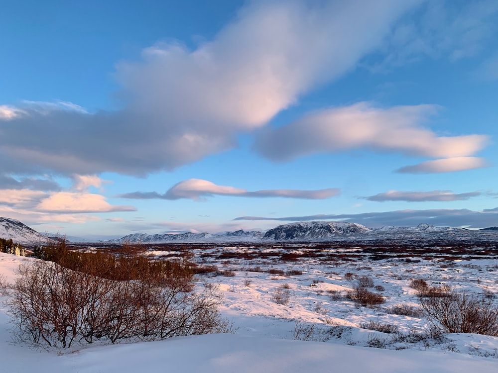 snow covered field under cloudy sky during daytime