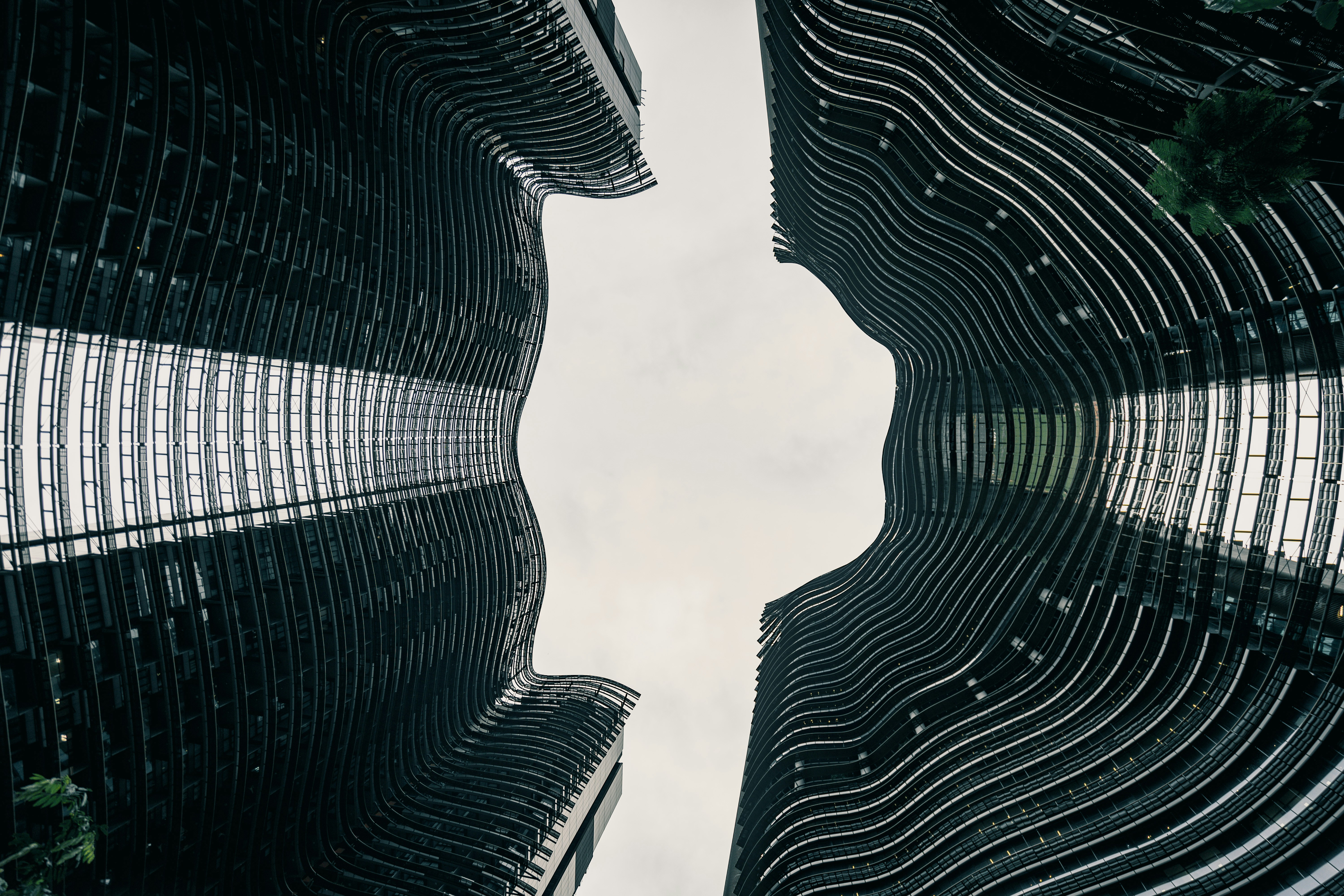 Photo by albertvincentwu