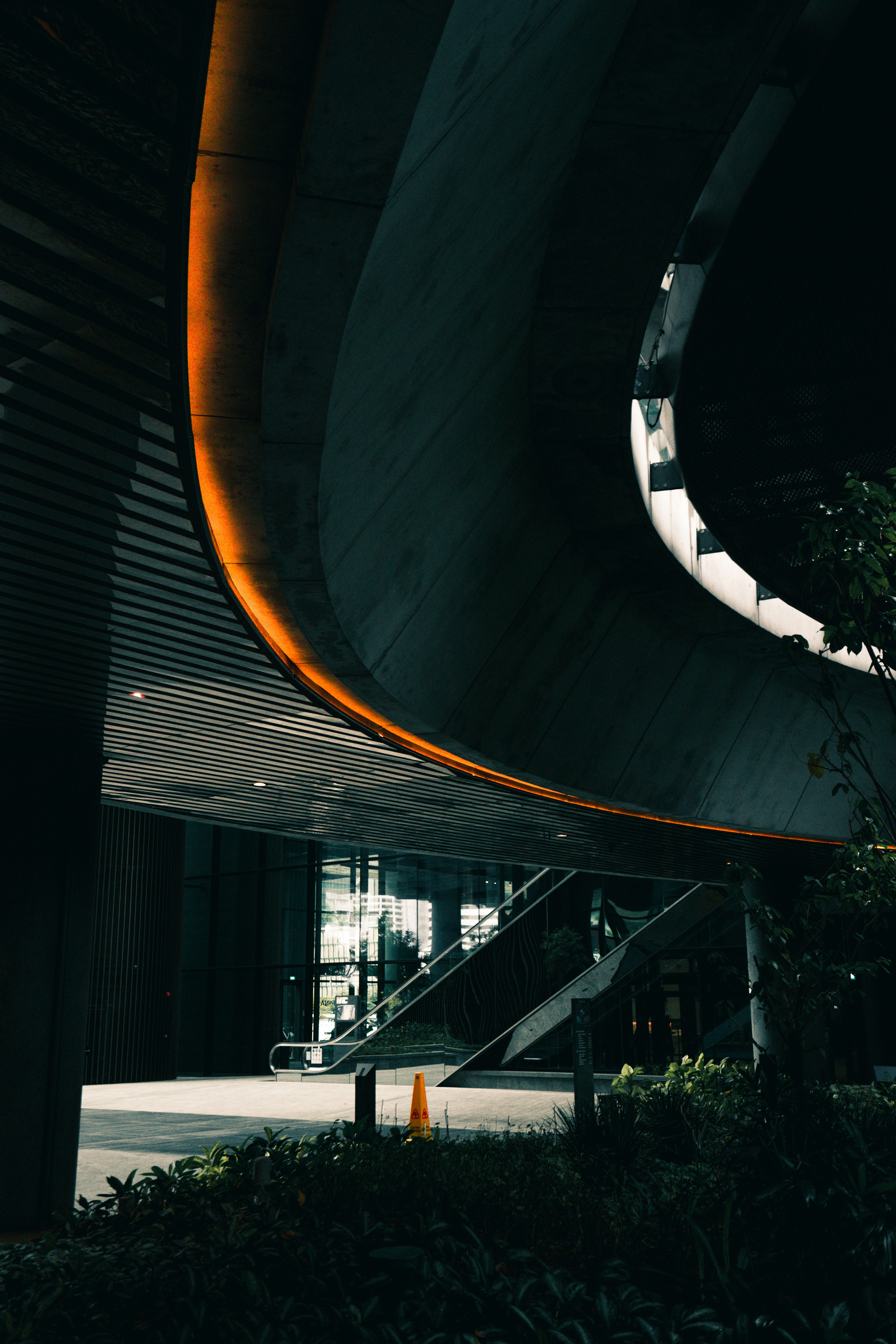 Photo by albertvincentwu