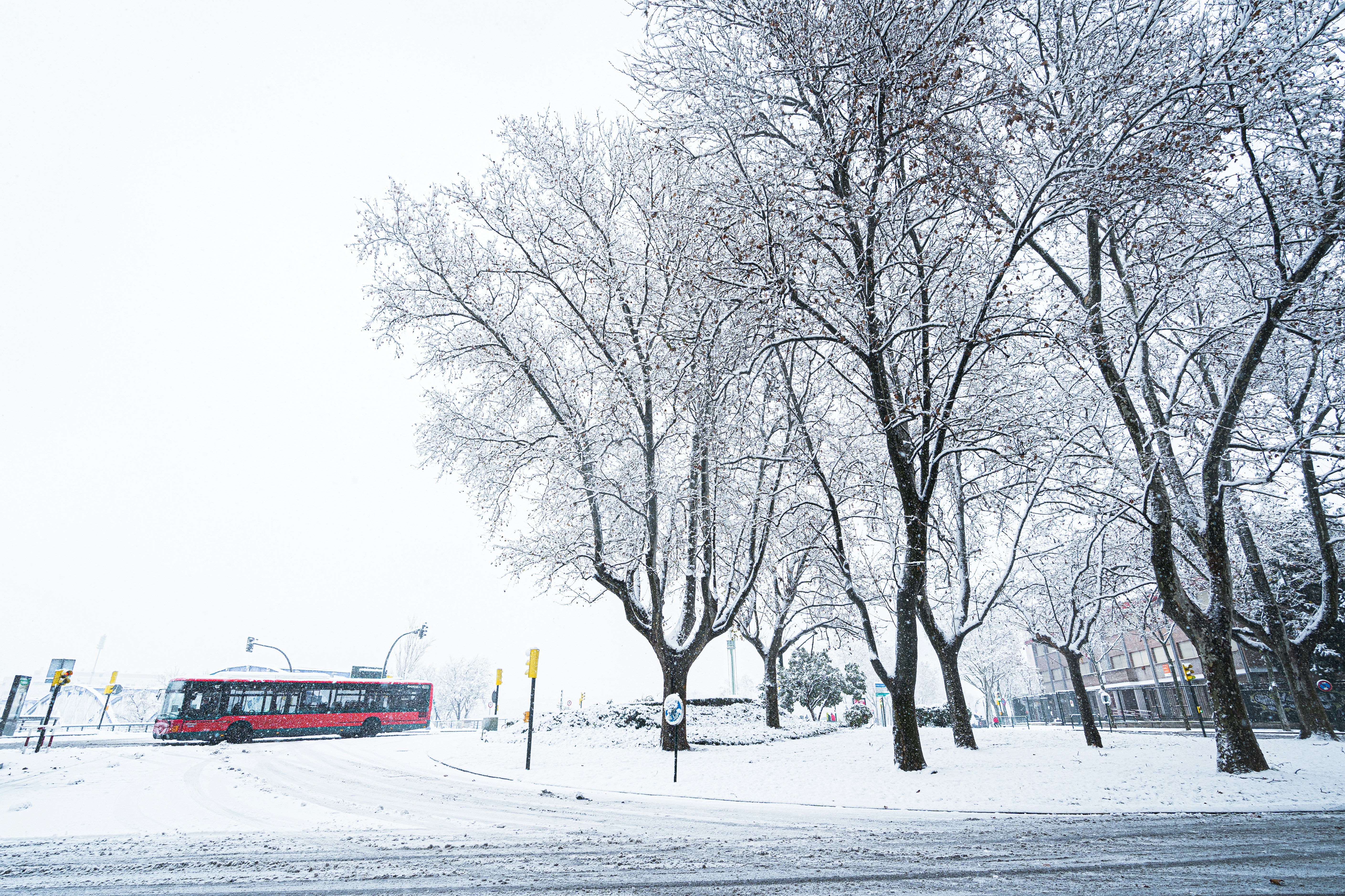 red and white wooden bench on snow covered ground