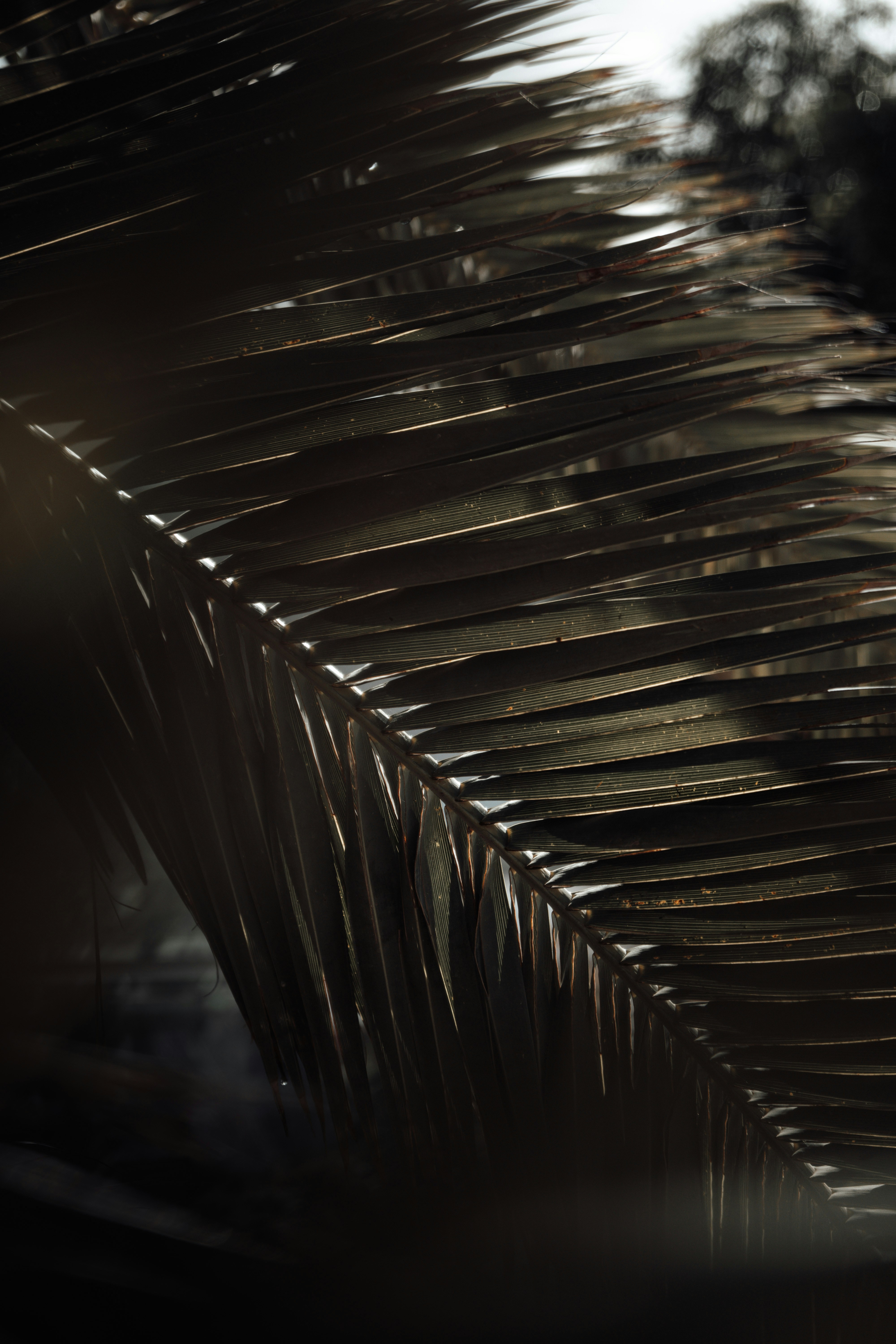 Photo by max_kuntscher