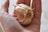 A hand holds a bulb of garlic, with several cloves encased in a papery white skin. Some dried roots are visible at the bottom of the garlic bulb. The hand is positioned palm up to support the garlic.