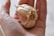 A hand holds a bulb of garlic, with several cloves encased in a papery white skin. Some dried roots are visible at the bottom of the garlic bulb. The hand is positioned palm up to support the garlic.