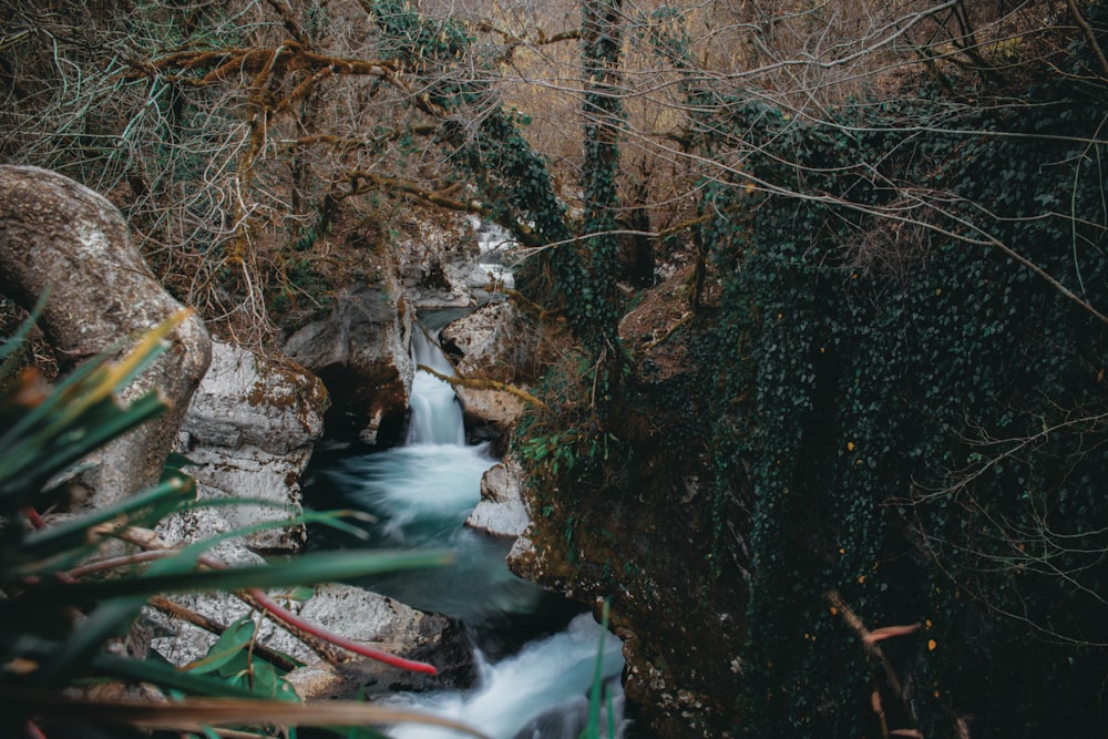 Fluss tagsüber zwischen braunen Felsen und Bäumen