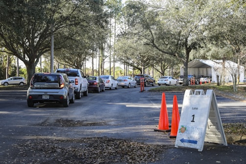 Cars are lined up in a queue on a tree-lined road leading to a white tented area. Orange traffic cones and a sign labeled 'Lane 1' are positioned nearby, guiding the vehicles. The setting appears to be an organized drive-through or testing center.