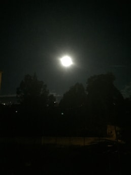 A calm night sky with a radiant moon illuminating a peaceful forest below.
