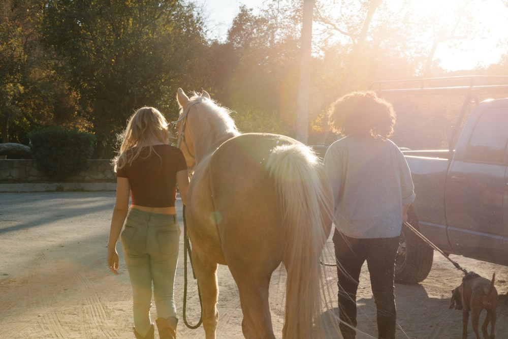 people walking on road during daytime