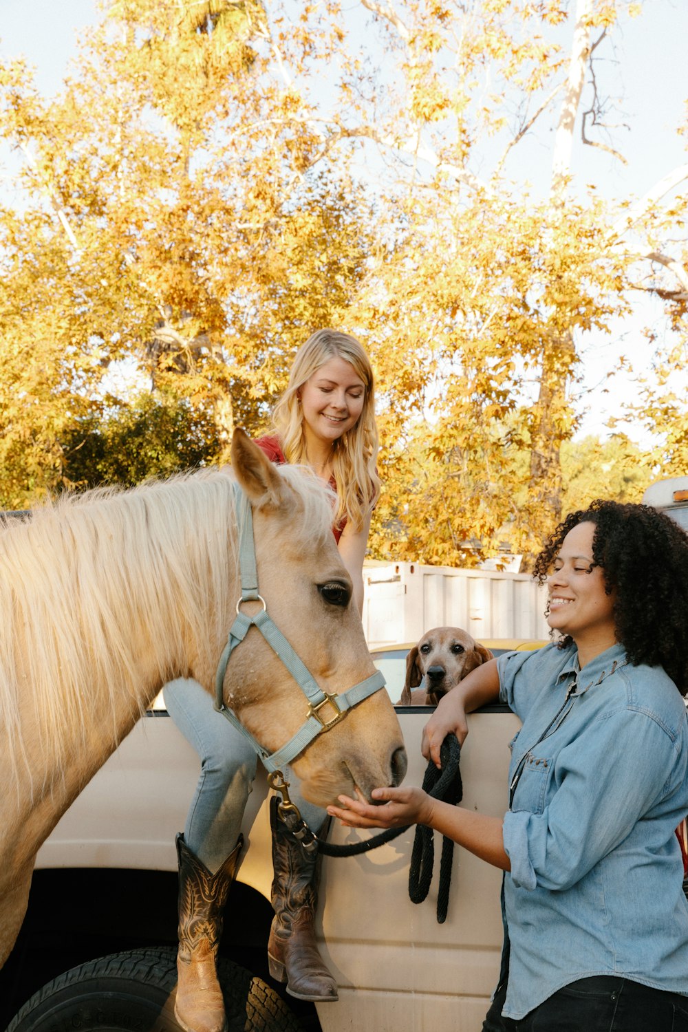 woman in gray jacket riding brown horse during daytime