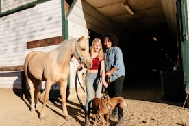A woman and a man stand next to a light brown horse, holding its reins and looking happy. A dog is also present, standing near them. They are in front of a barn with a wooden exterior, and sunlight casts shadows on the ground.