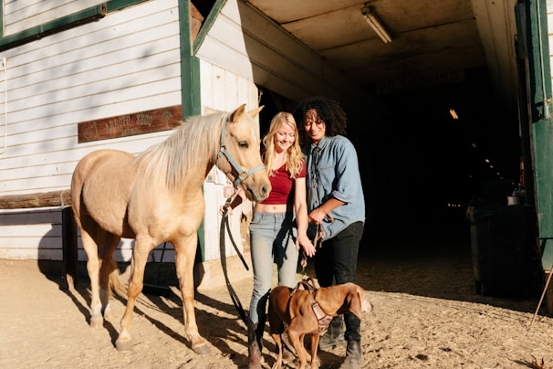 Family laughing together while gently petting a calm horse in a sunlit forest clearing.