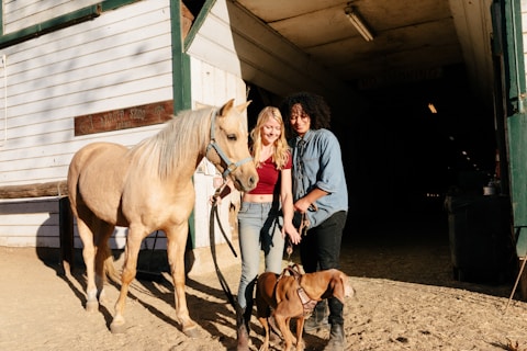 A woman and a man stand next to a light brown horse, holding its reins and looking happy. A dog is also present, standing near them. They are in front of a barn with a wooden exterior, and sunlight casts shadows on the ground.