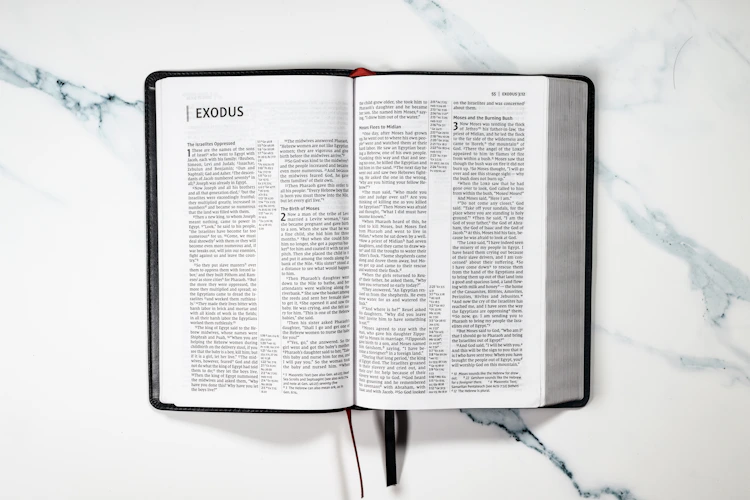 Le conseil en évolution professionnelle (CEP)