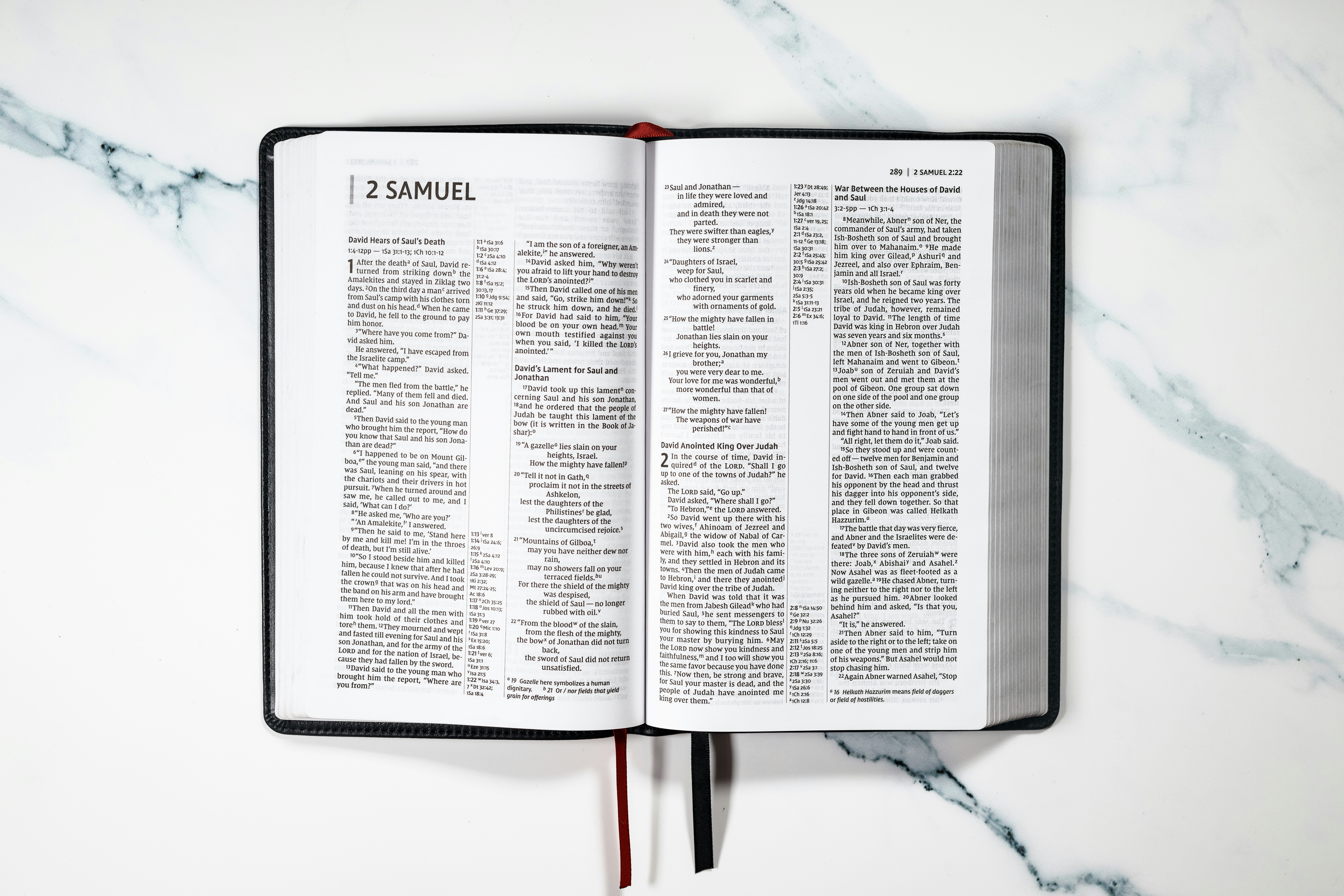 Teleprompter Reading