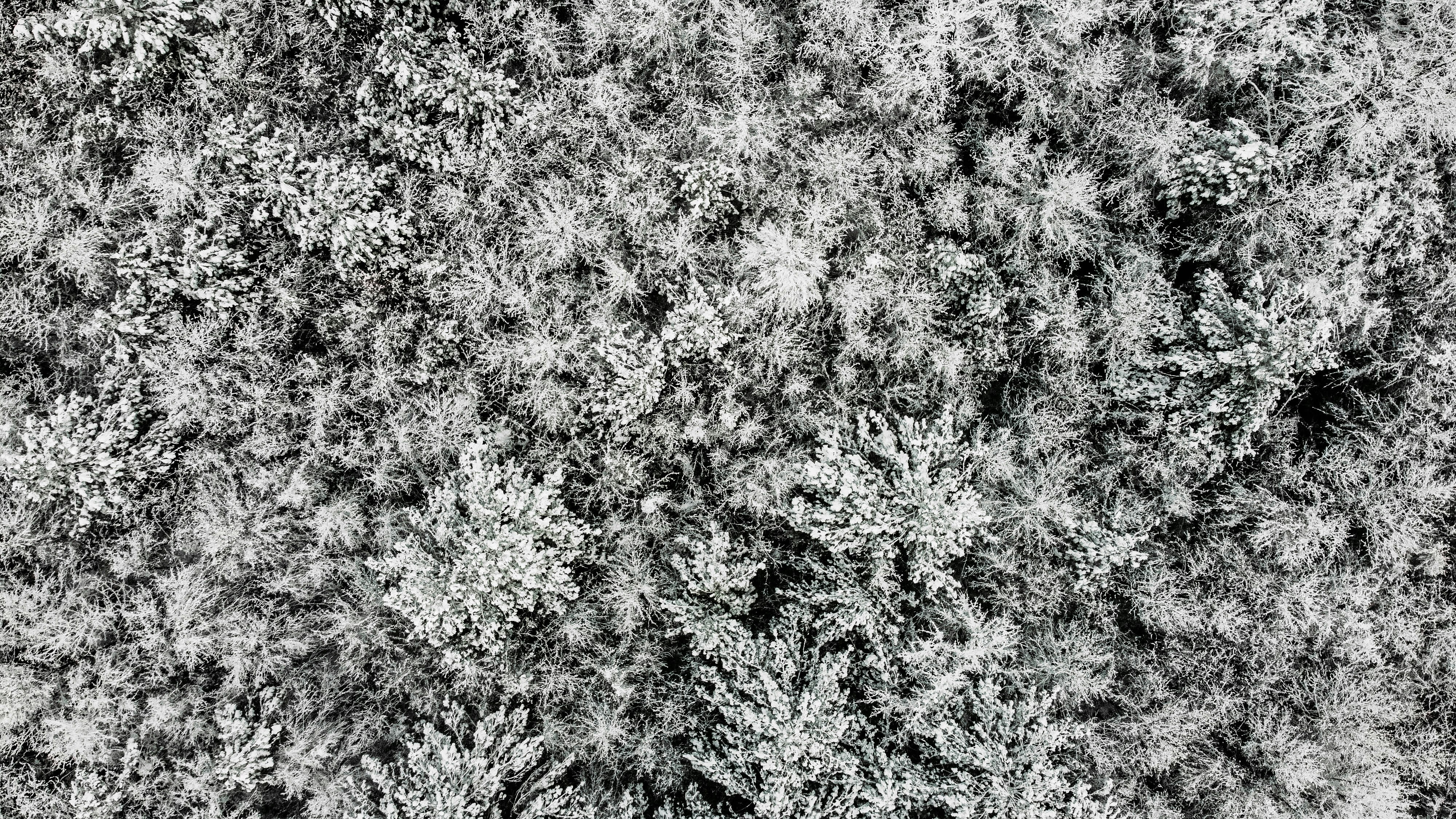 Photo by austin__ramsey