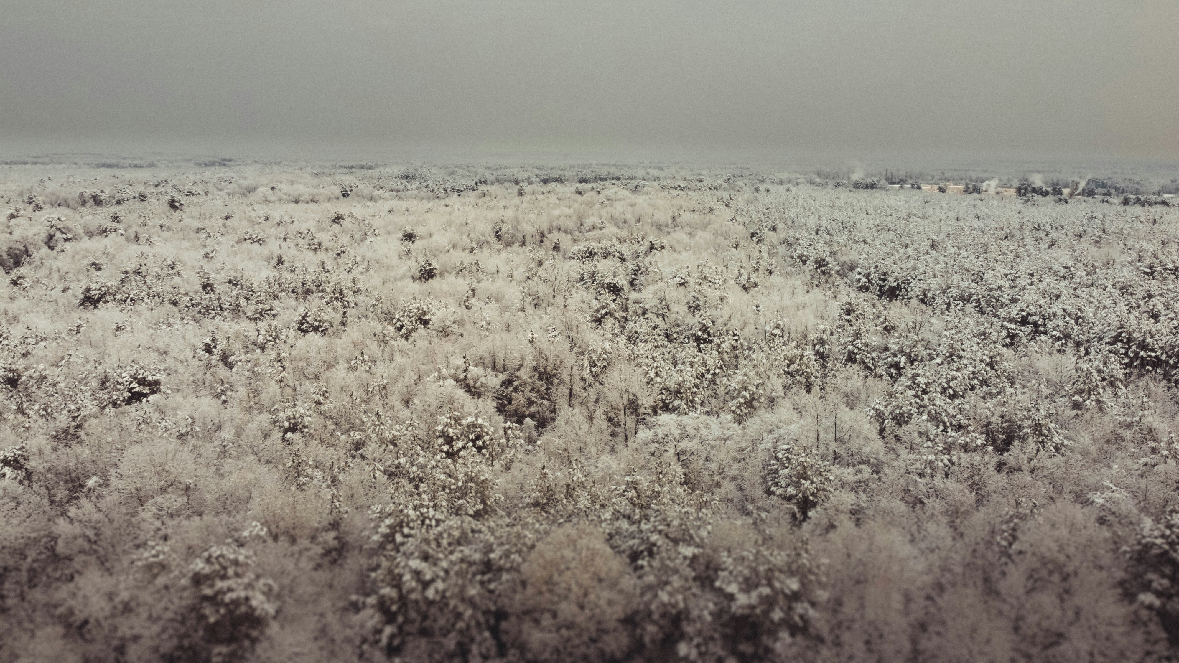 Photo by austin__ramsey