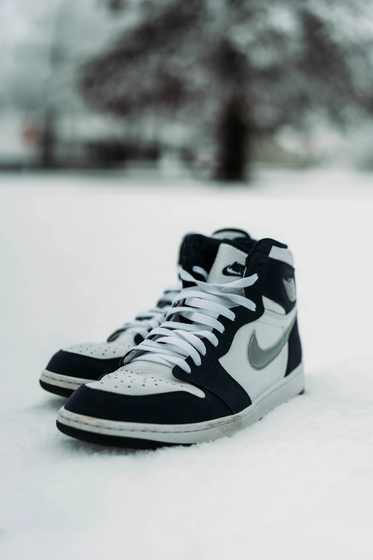 Air Jordan 1 High in white, navy and grey, standing in snow