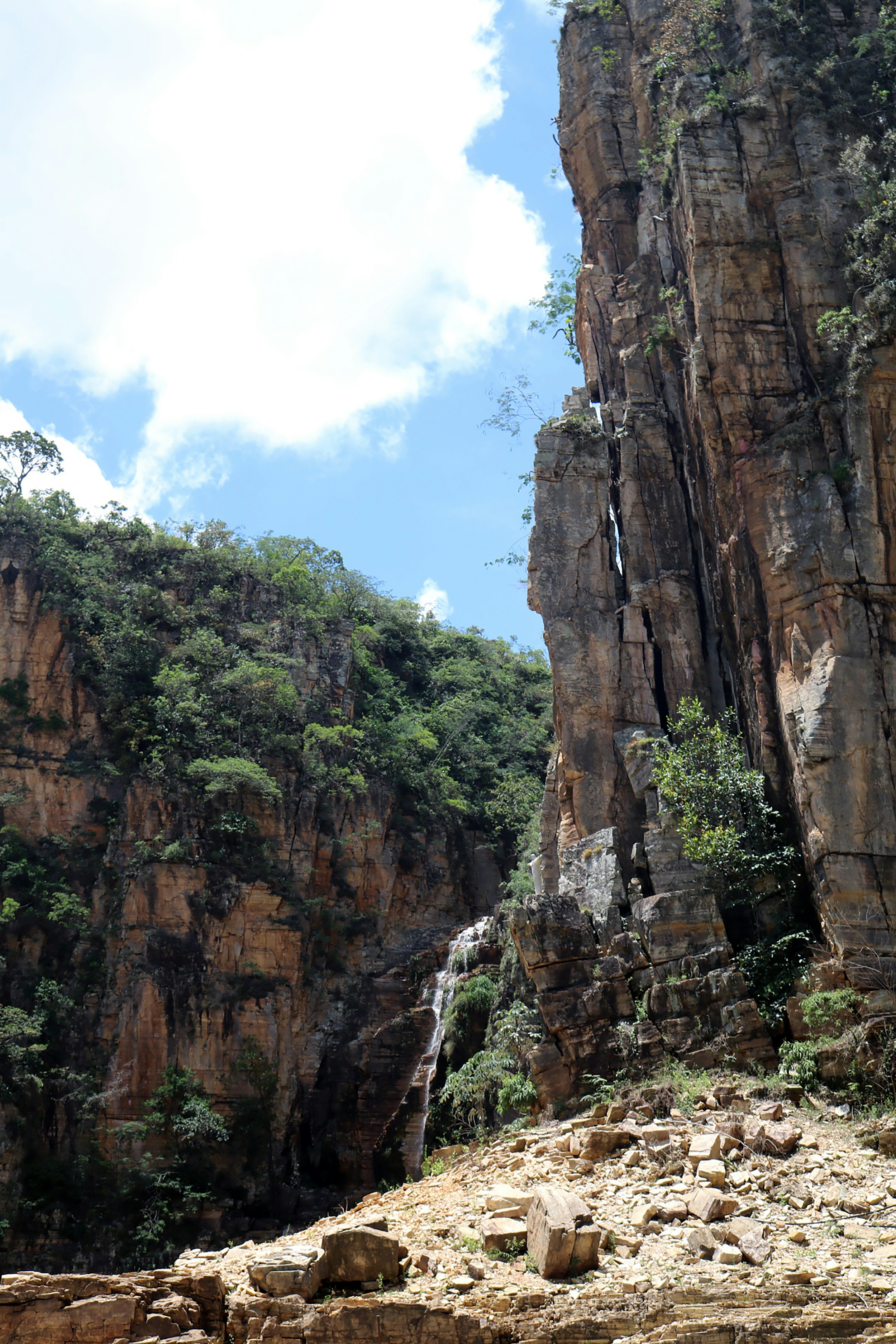 Photo by joeloliveira