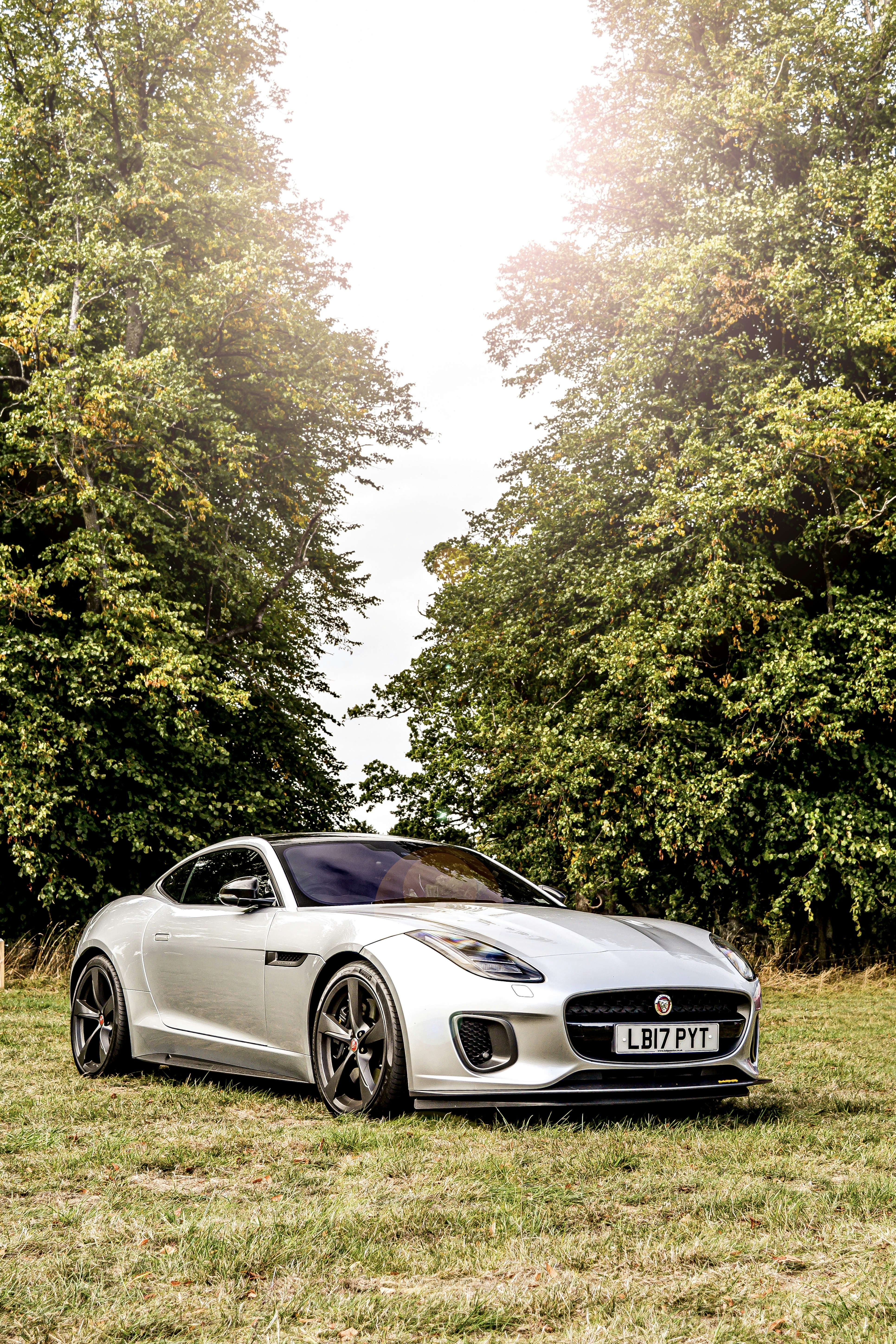 gray computer monitor