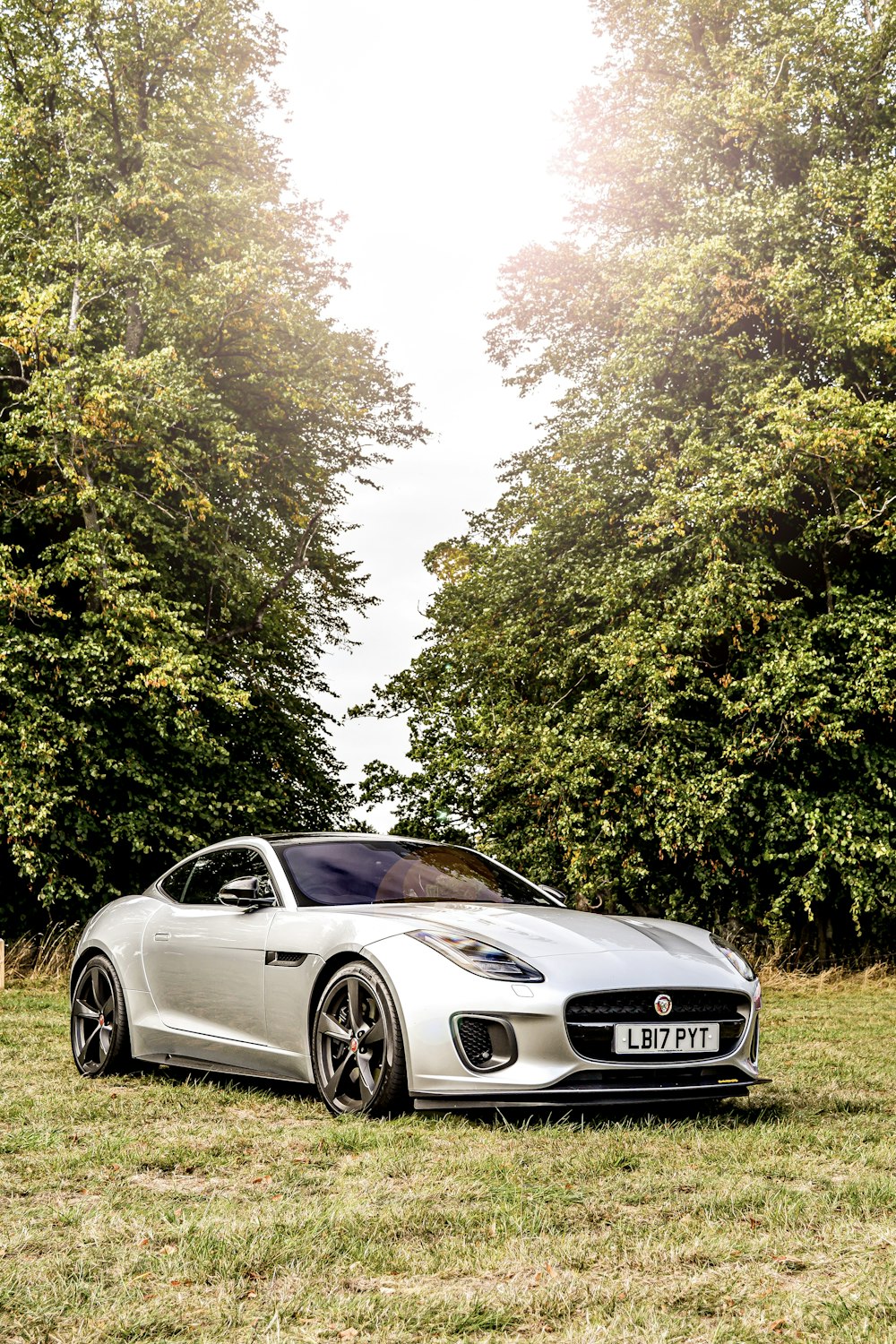 black porsche 911 on green grass field during daytime