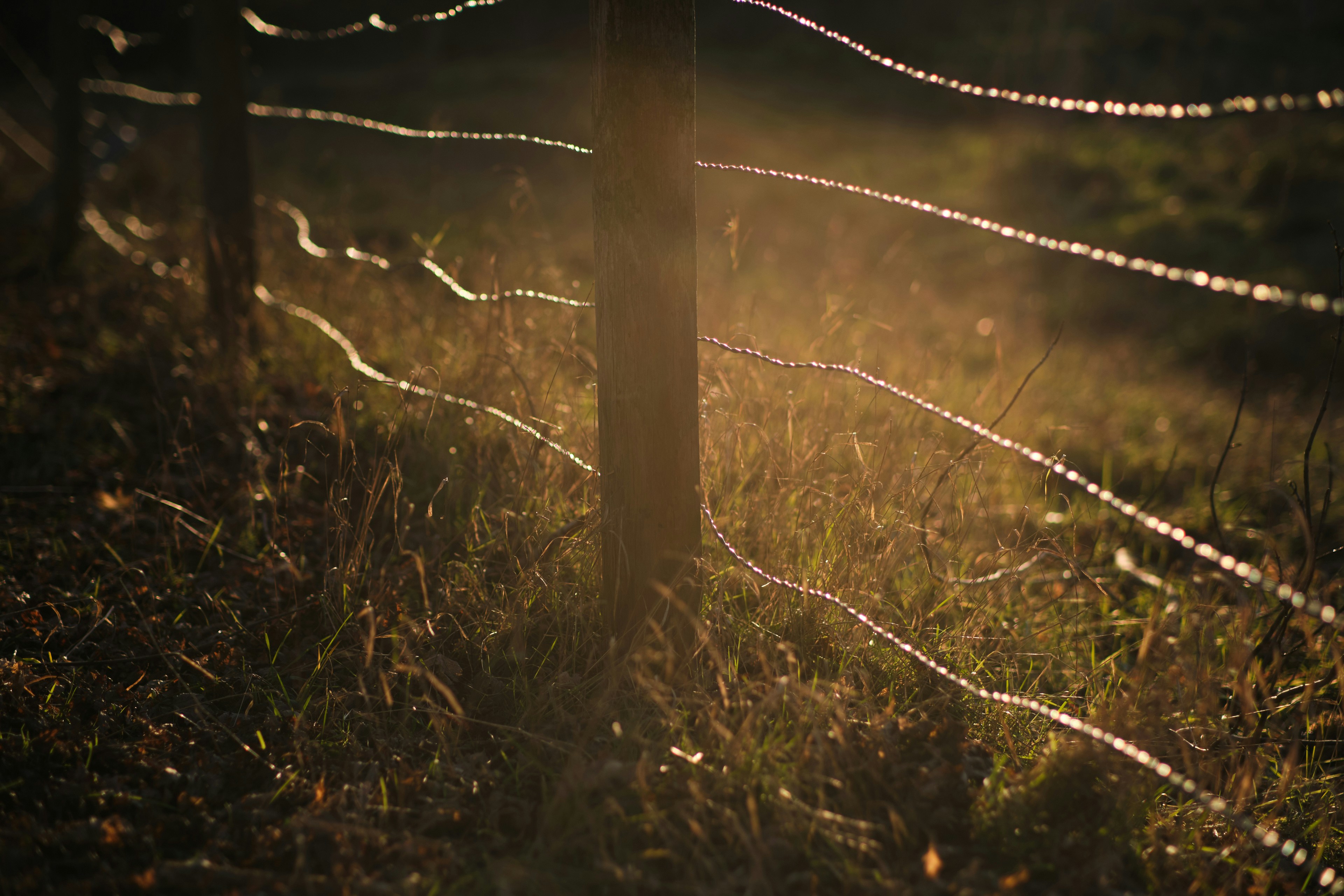 Photo by didier_provost