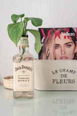 a bottle of booze next to a magazine and a plant