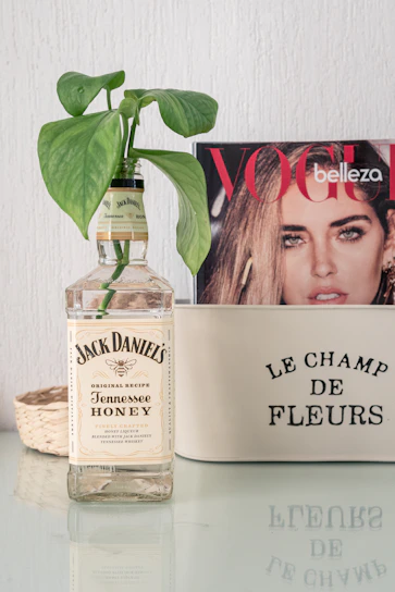 a bottle of booze next to a magazine and a plant
