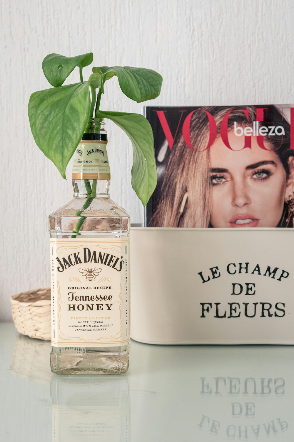 a bottle of booze next to a magazine and a plant