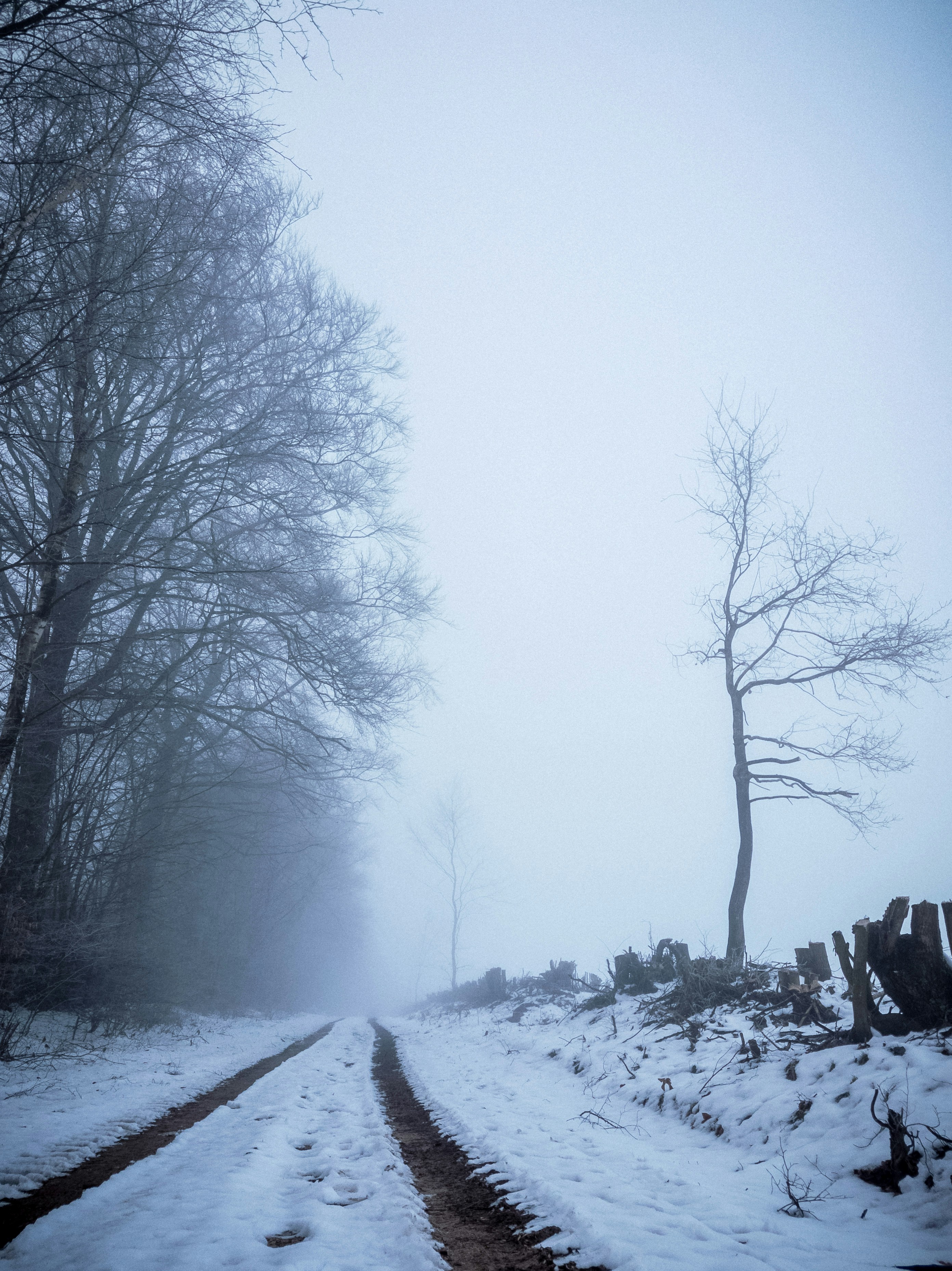 Photo by moritzluedtke