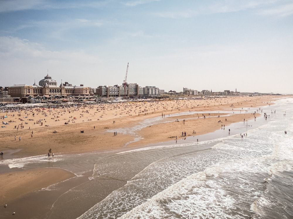 personnes sur la plage pendant la journée