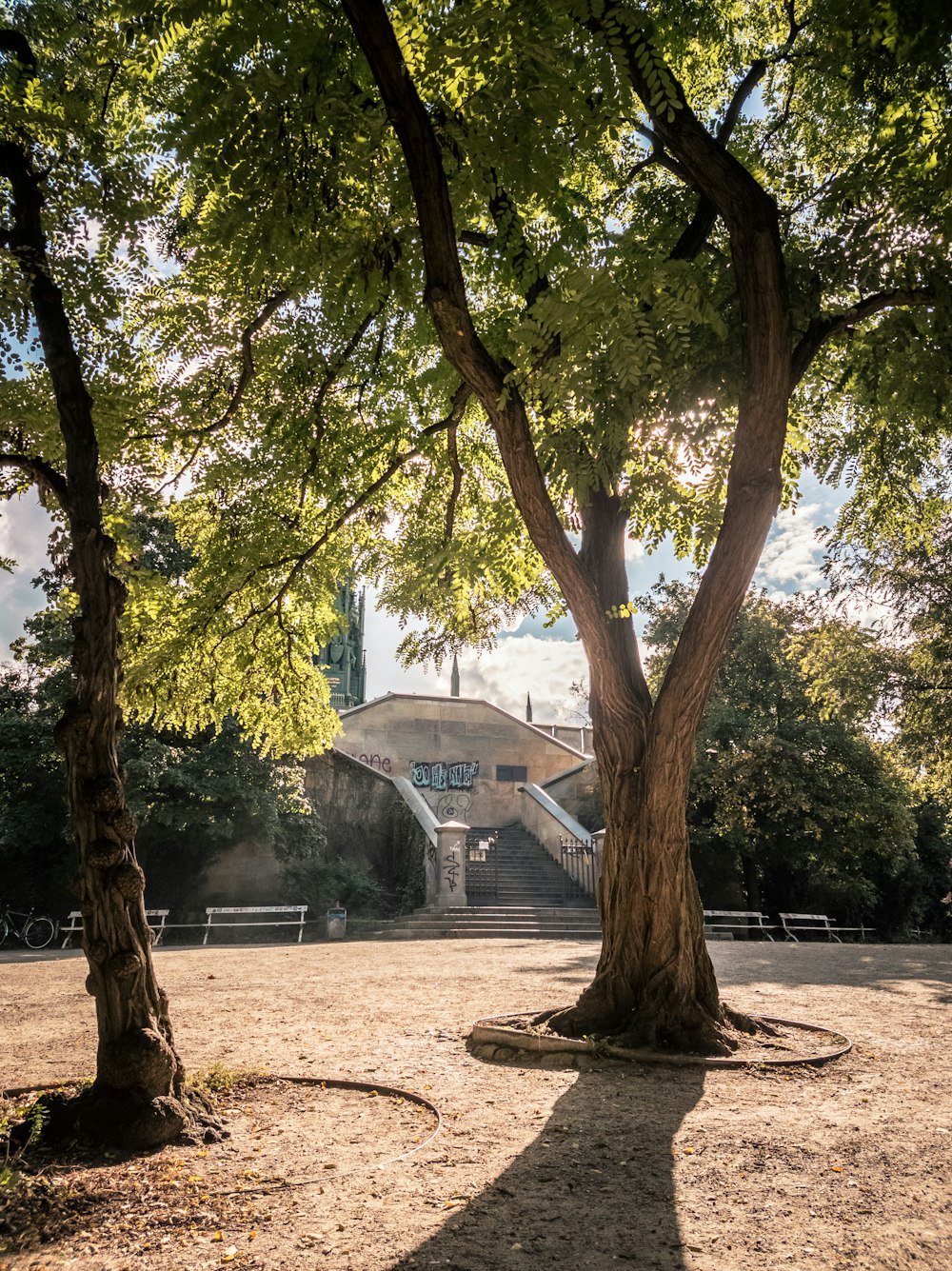 green trees near white building during daytime