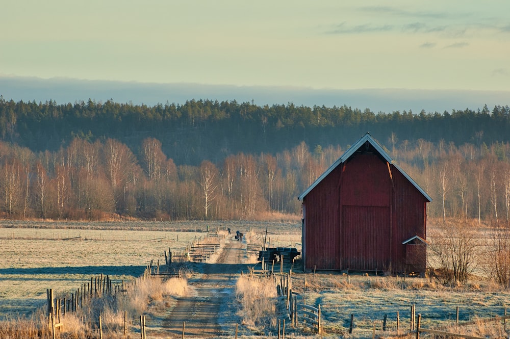 red wooden house near lake during daytime