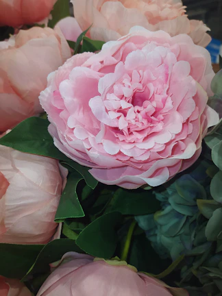 A close-up of a vibrant bouquet featuring deep red roses and soft pink peonies.