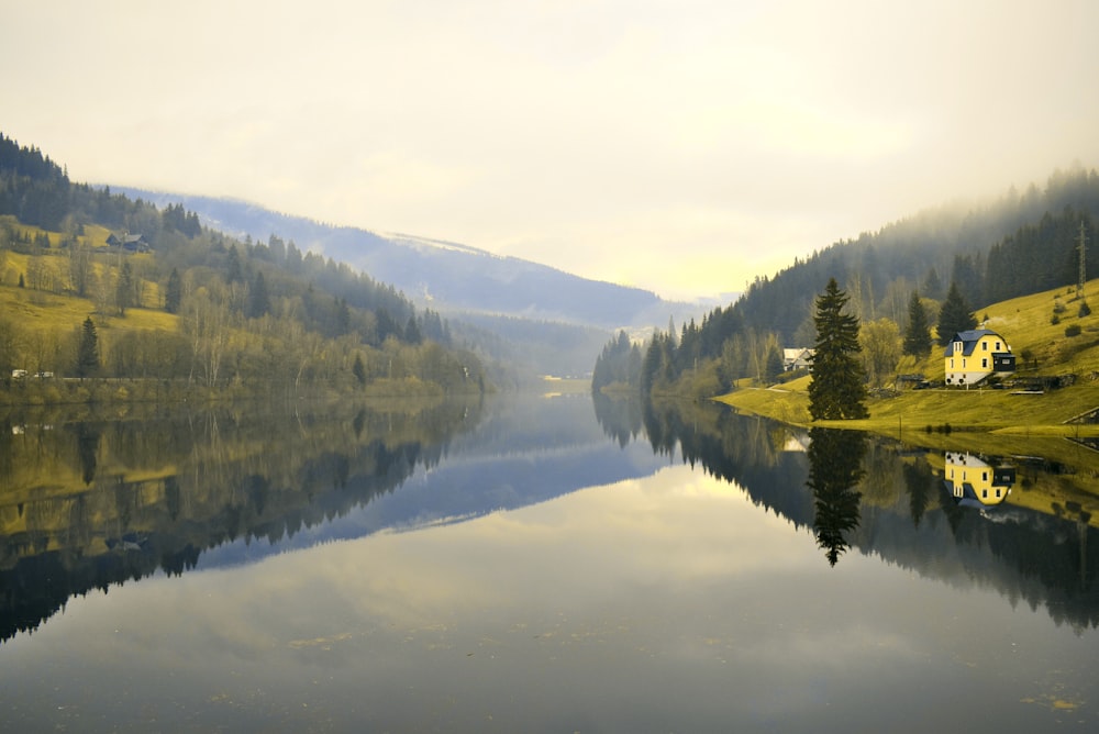 Grüne Bäume am See tagsüber