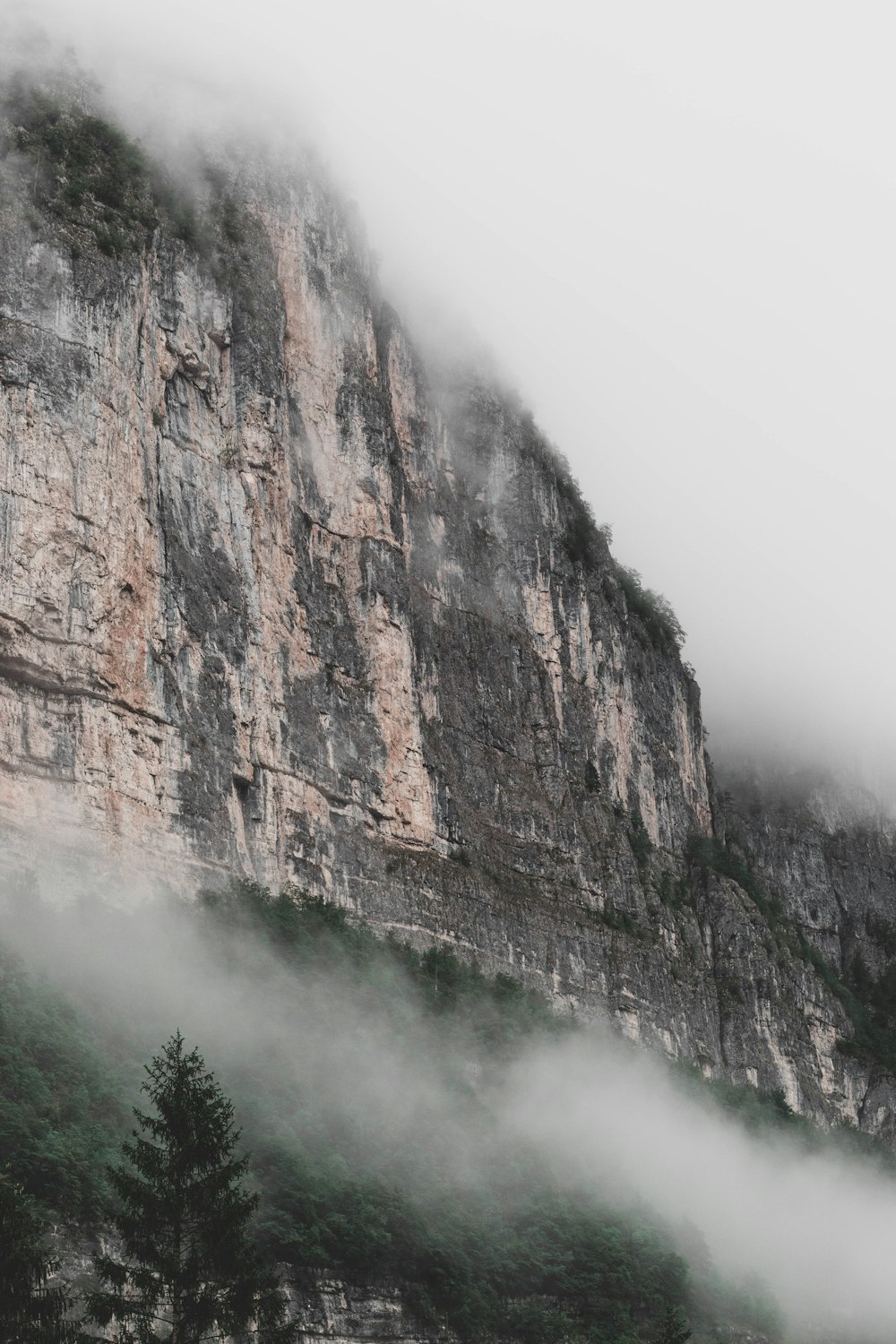 brown rocky mountain with green trees