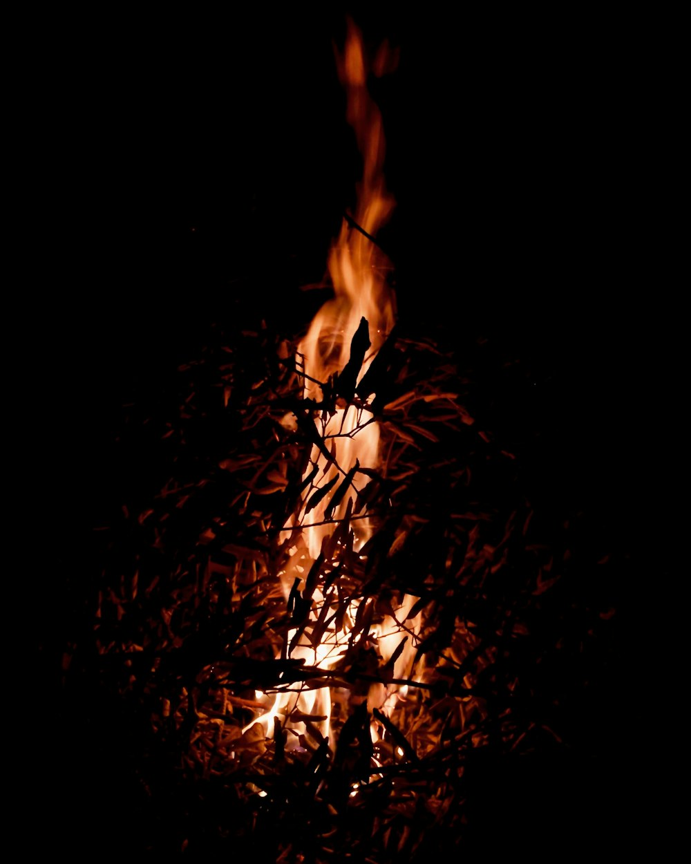 silhouette of bare tree during night time