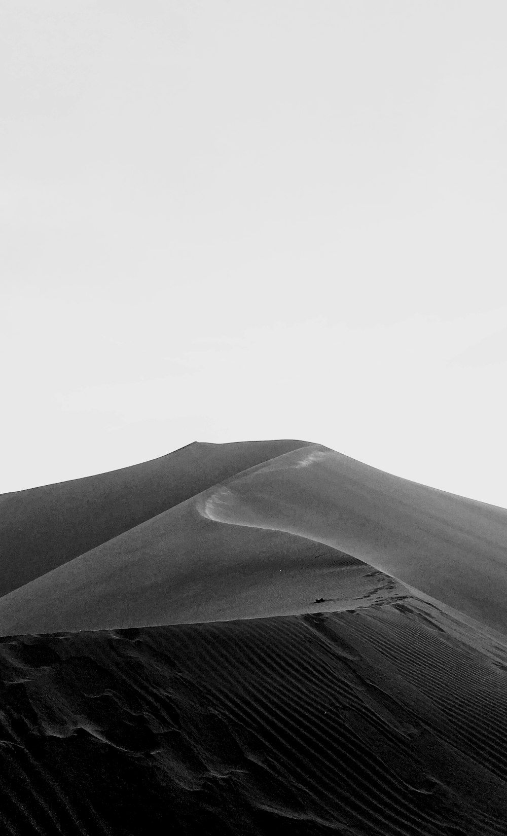 흐린 하늘 아래 사막의 그레이스케일 사진