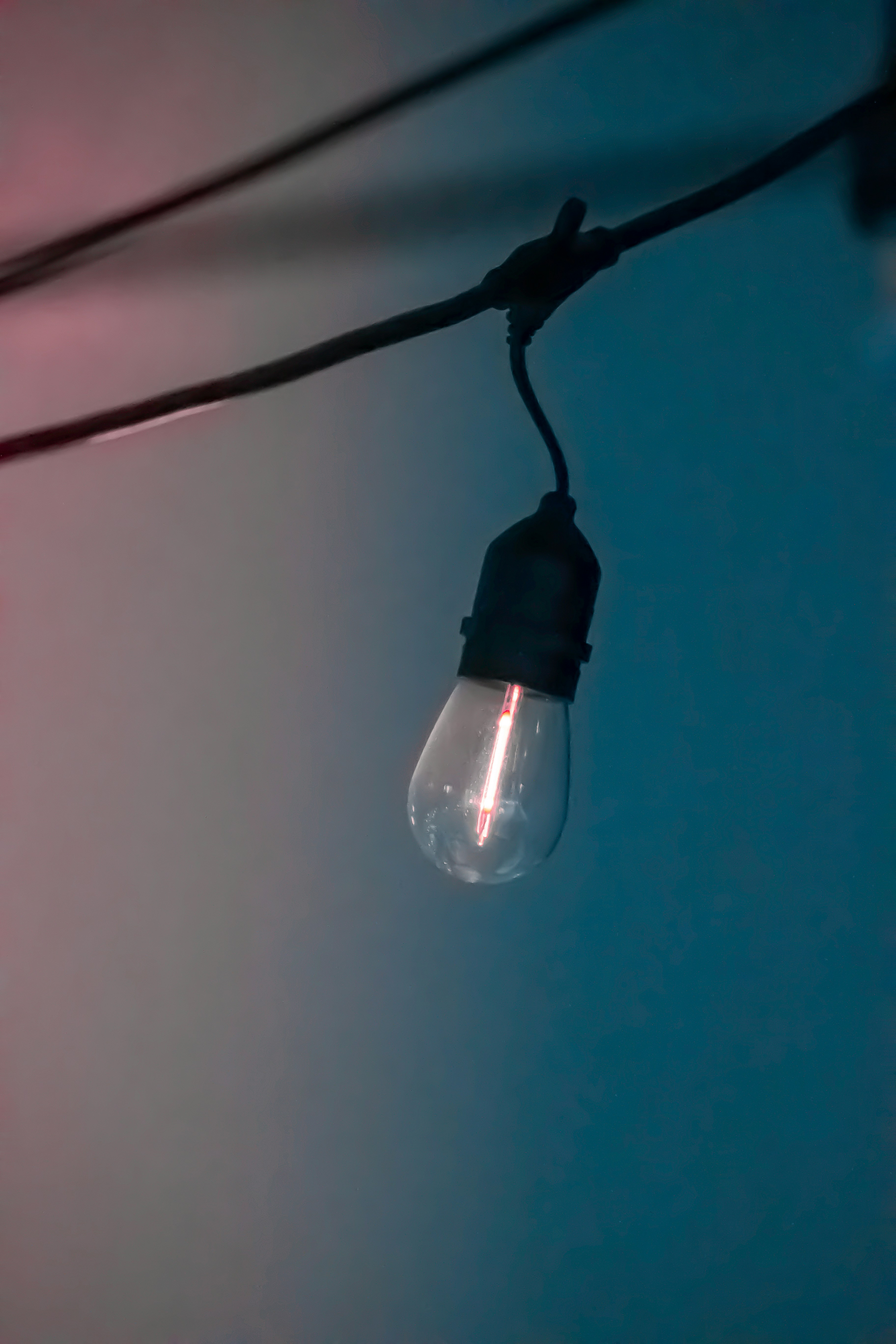 黒と白の電球の写真 Unsplashで見つけるソルトレイクシティの無料写真