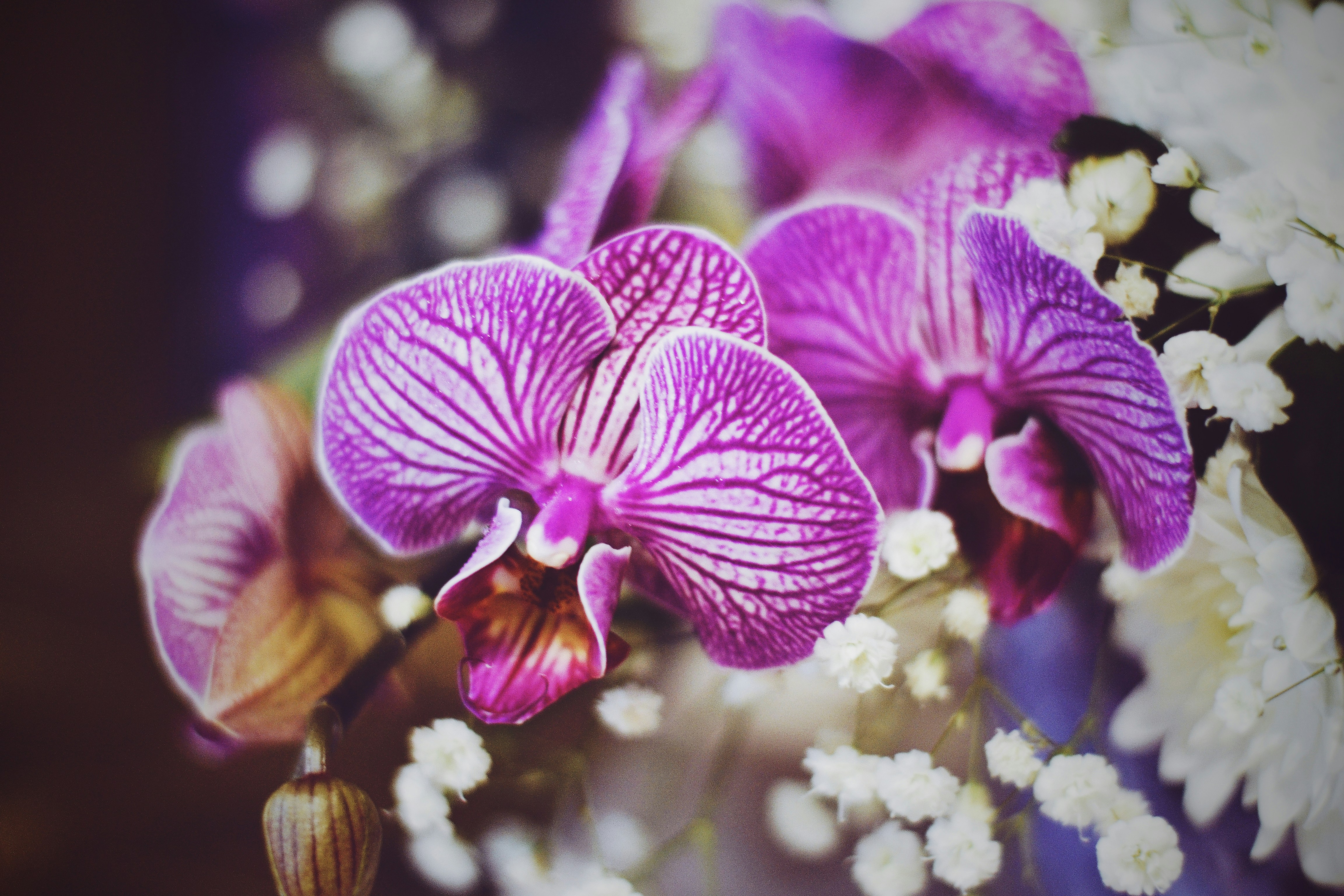 Photo by anastasiiad