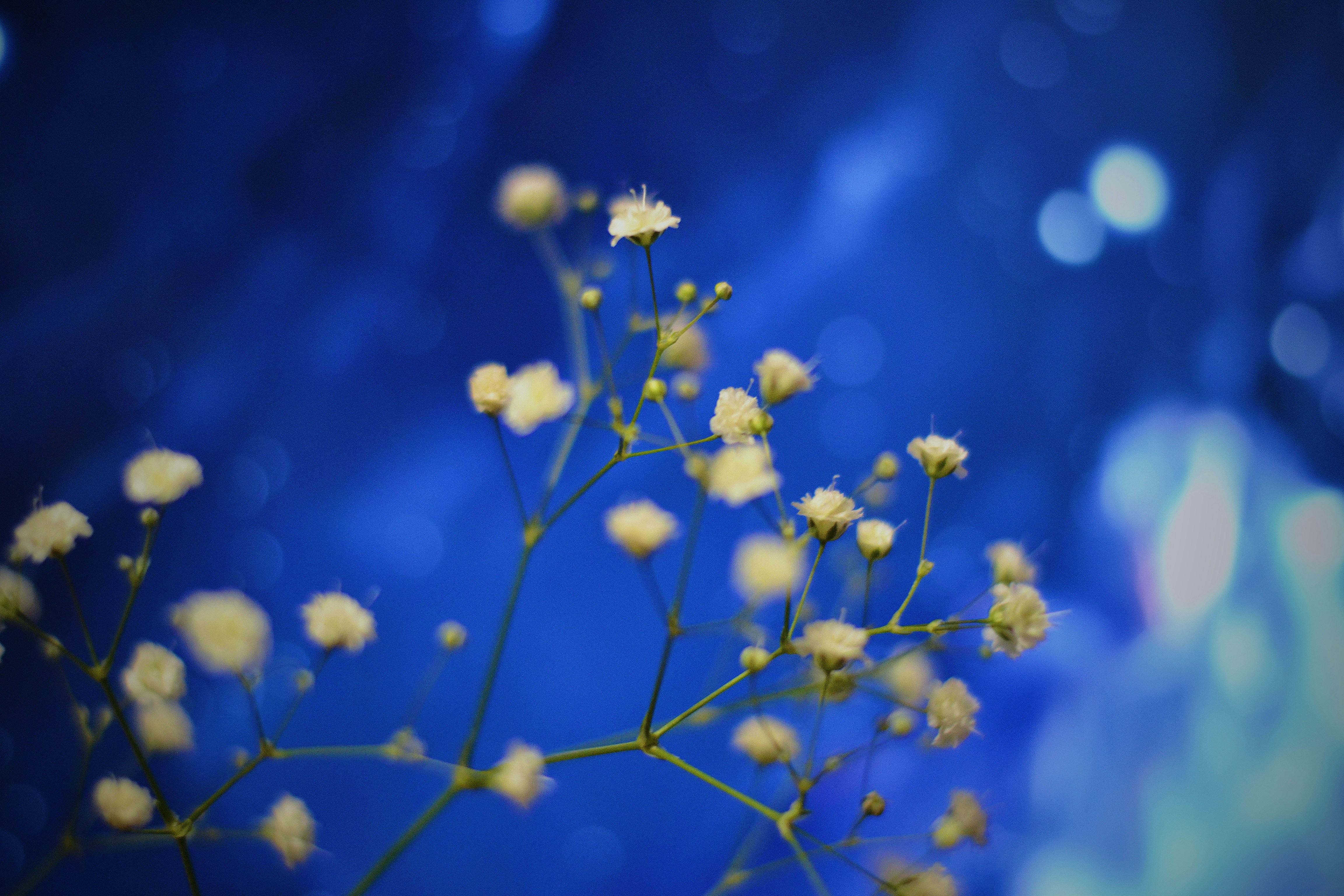 Photo by anastasiiad