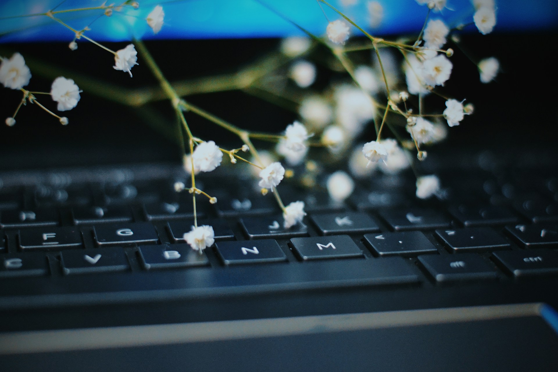 white flowers on black computer keyboard