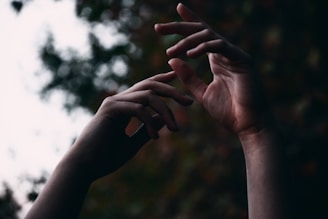 Two hands are raised and delicately positioned against a blurred natural background, creating a sense of grace and movement.