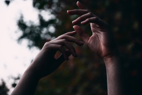 Two hands are raised and delicately positioned against a blurred natural background, creating a sense of grace and movement.