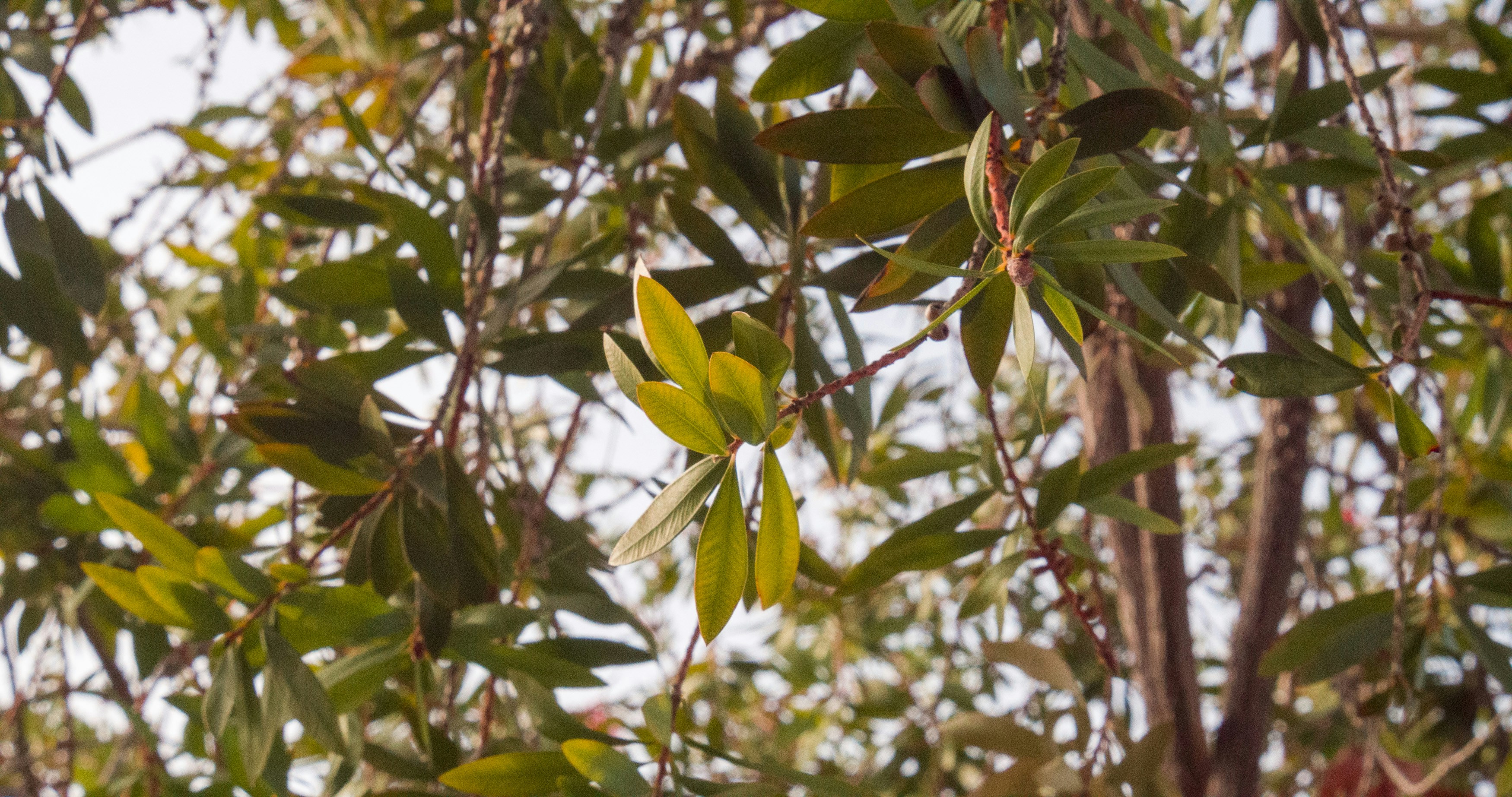 Photo by _nickwright_