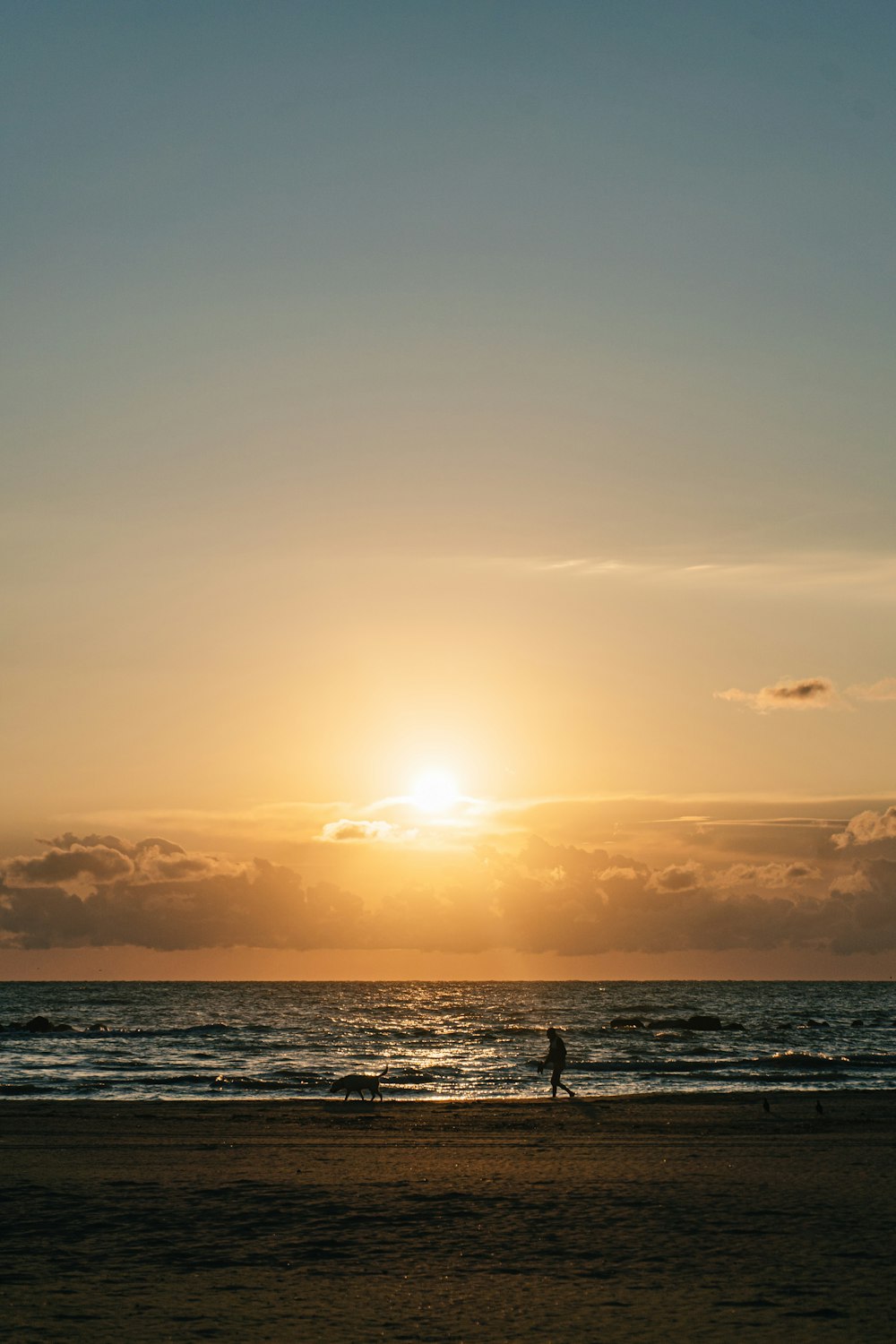 silhouette of people on beach during sunset